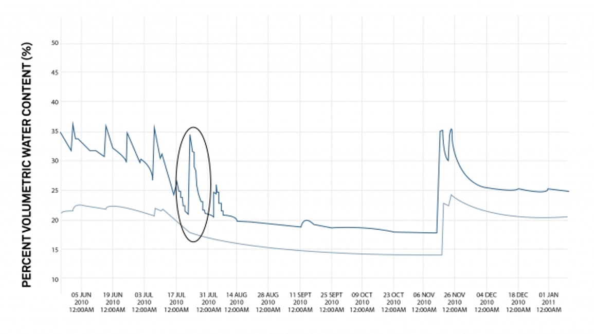 Data Interpretation
