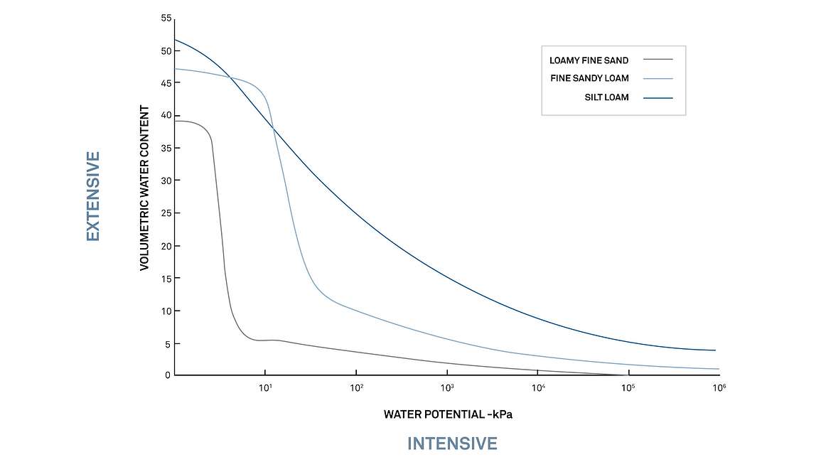 Extensive Variable and Water Potential