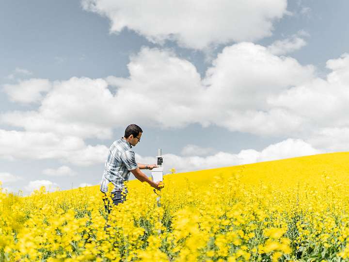 Scientist in a canola field installing a ZL6 data logger