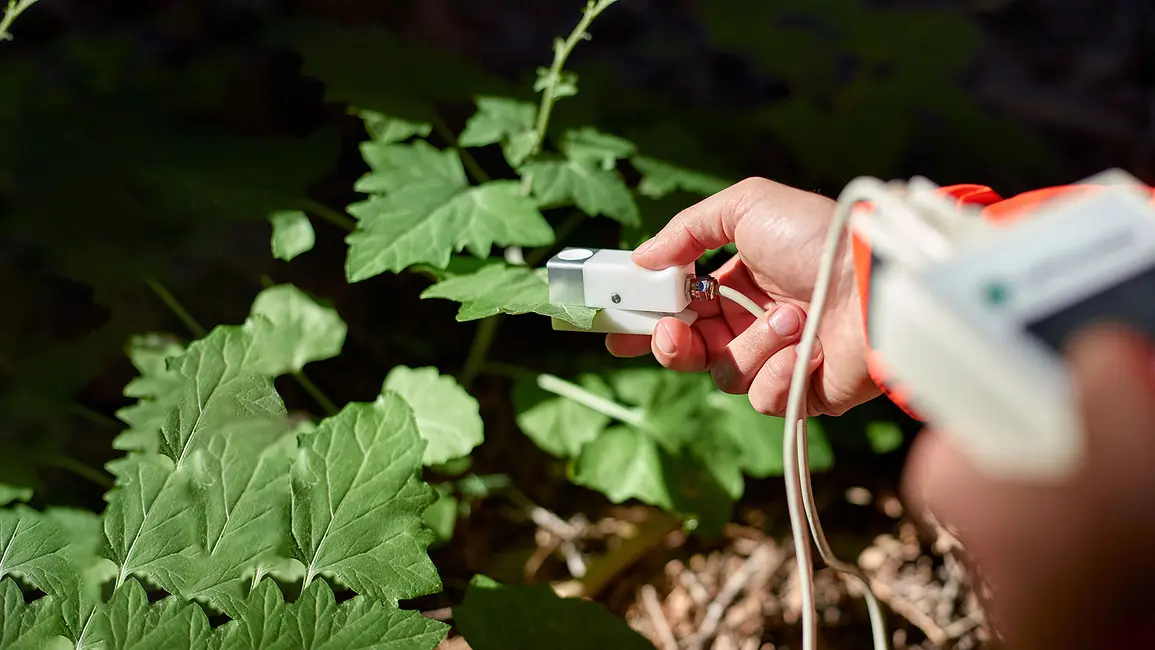 Video: A quick guide to calibrating SC-1 Leaf Porometer