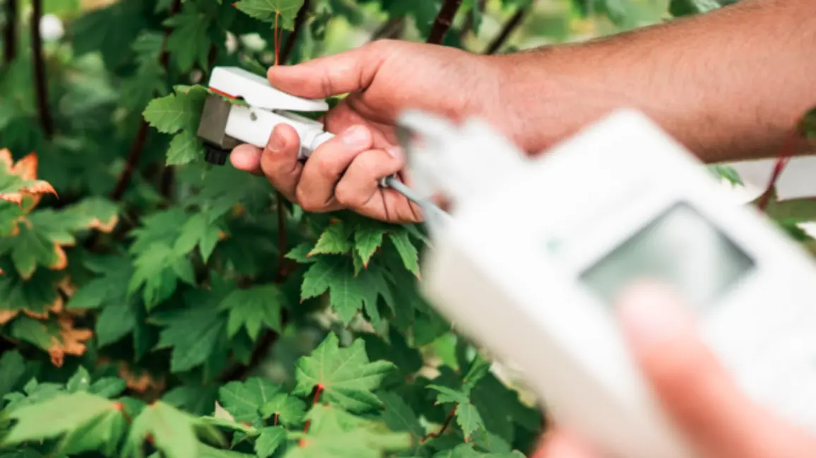 Video: SC-1 Leaf Porometer repair and maintenance