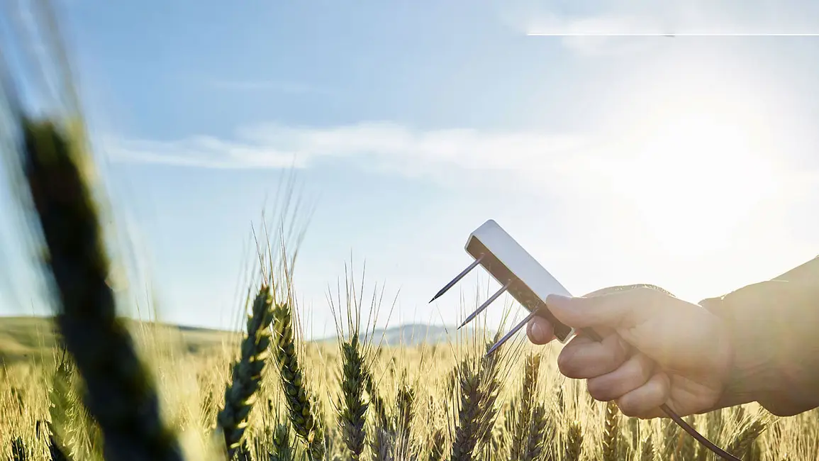 Video: TEROS Soil moisture sensor installation best practice video