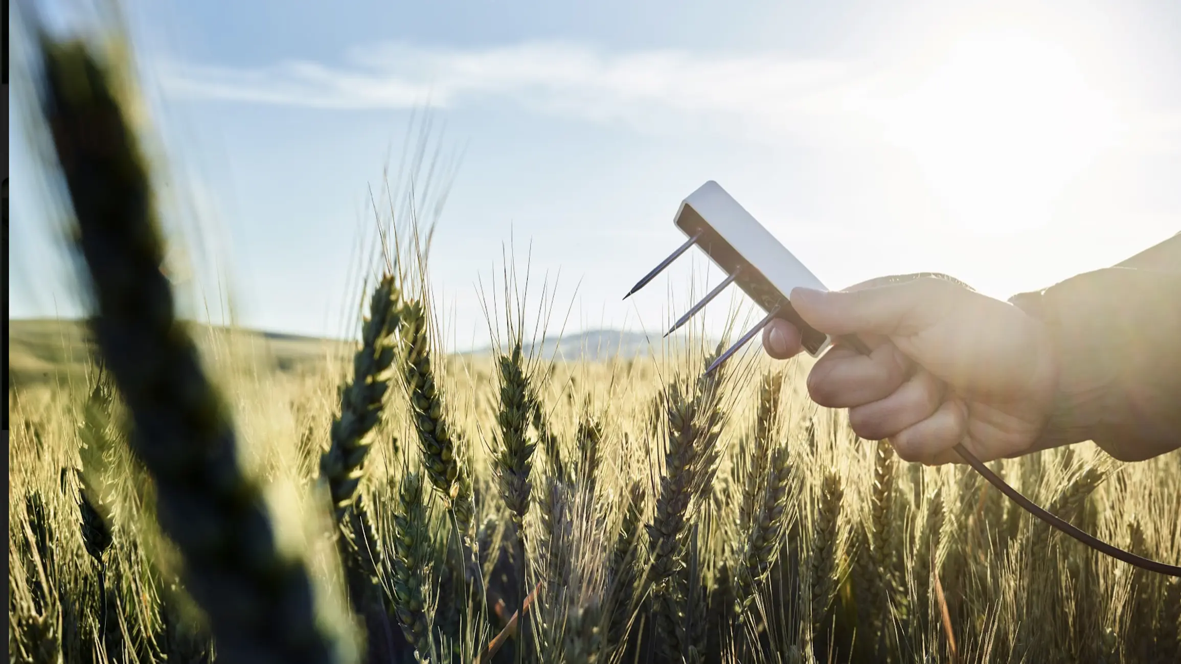 Video: How to calibrate METER soil moisture sensors