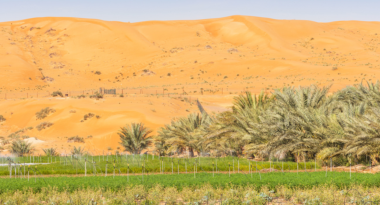 Can wastewater save the United Arab Emirates’ groundwater?