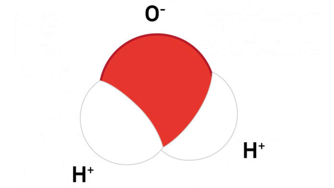 Water Molecule