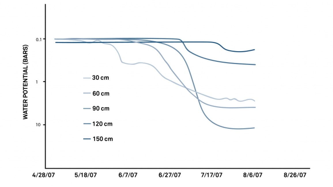 Water Potential Data Plotted Over Time