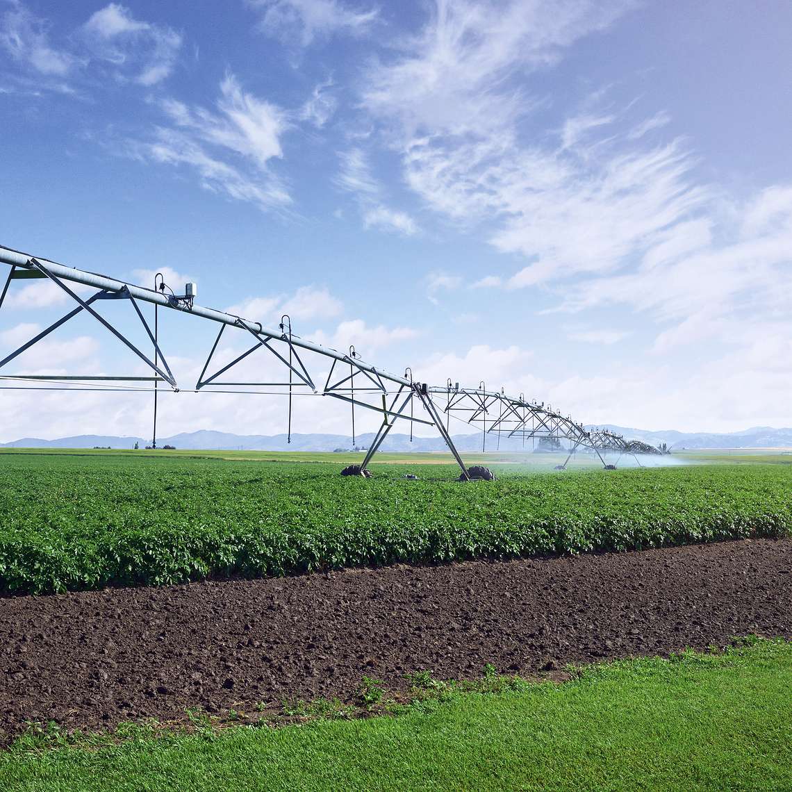 A photograph of a pivot irrigation system watering a field of crops