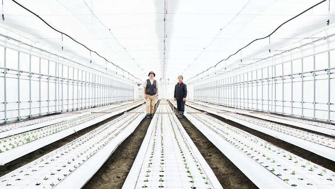 Using soil water sensors for efficient irrigation in greenhouses