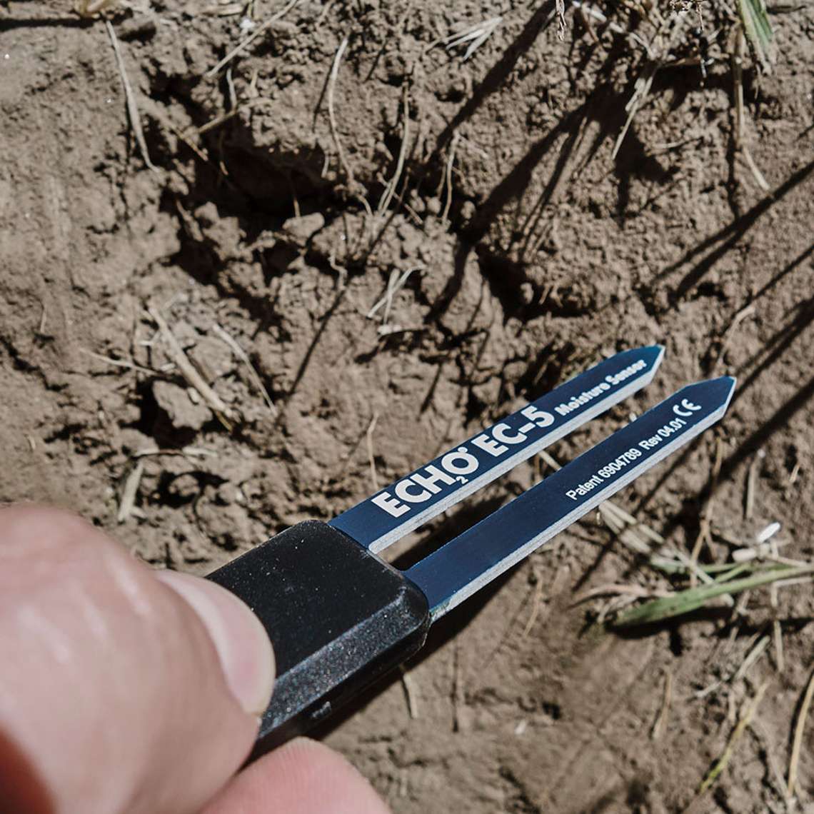 ECH2O EC-5 sensor being inserted into soil
