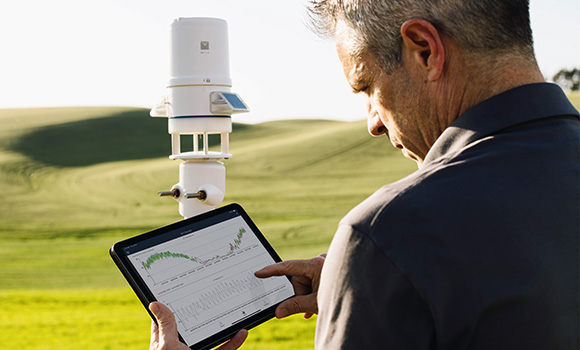 a researcher accessing ZENTRA Cloud data on a tablet while standing next to an ATMOS 41 weather station in an open field
