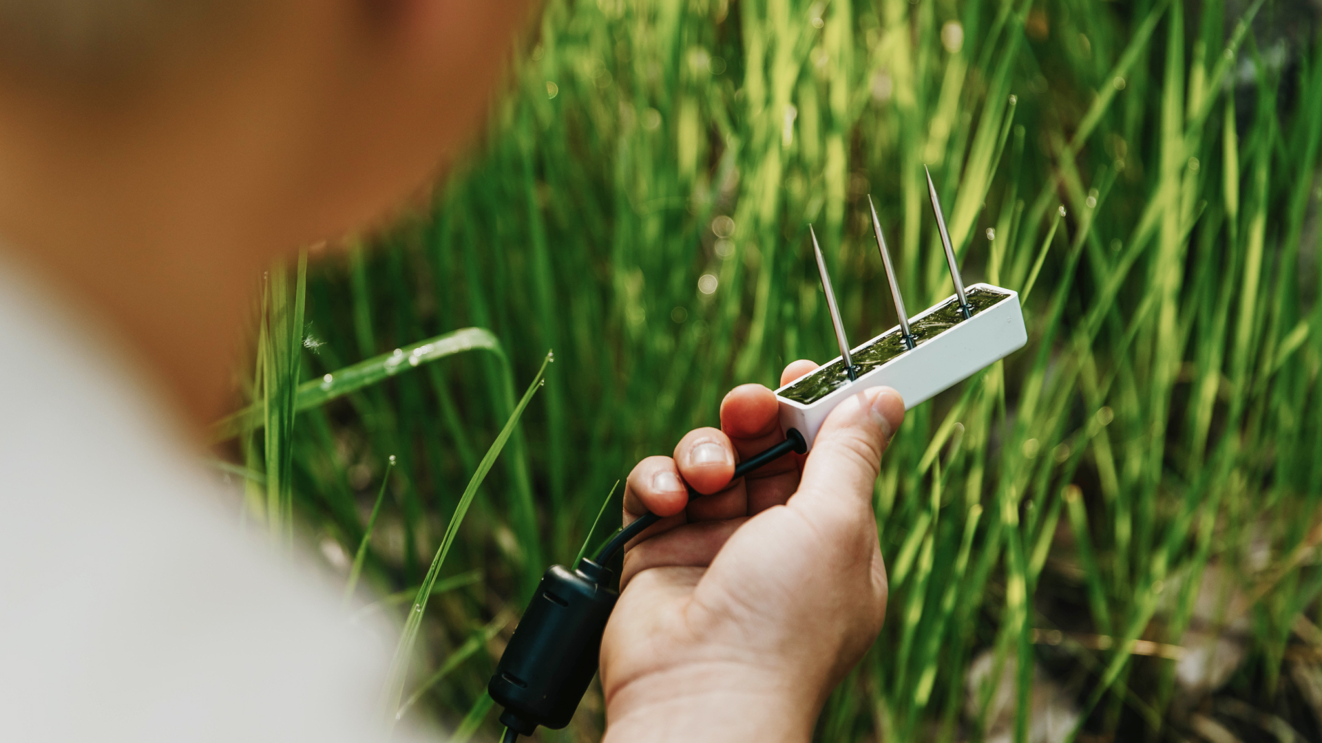 Soil Moisture Sensor Custom Calibration Service